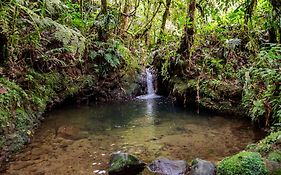 Boskoso Forest Retreat Jacuzzi & Waterfall